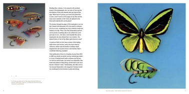 Butterfly and salmon fly Butterfly and salmon fly