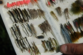 Lo and behold! Lo and behold!