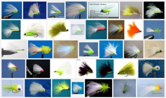 Whiskers from the web Whiskers from the web