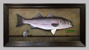 Striped bass Striped bass