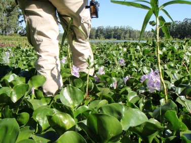 On the way On the way