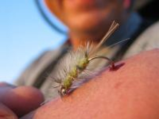 Ouch! - image Ouch! - image