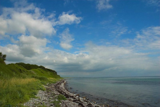 Mullet country! Mullet country!