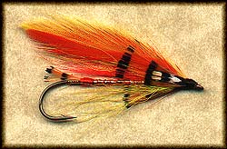 GINGERSNAP Image