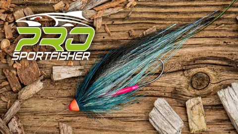 Video thumb for Posh Monkey