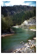 User submitted picture: Spring 2010, somewhere in...