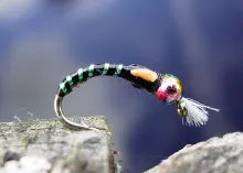 User submitted picture: Just add water