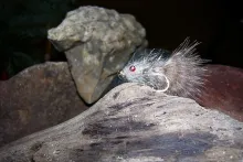 User submitted picture: Seatrout Hunter