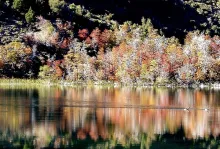 User submitted picture: Mirrored alpine lake, sun...