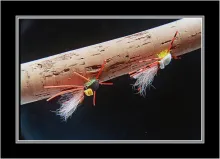 User submitted picture: Grip  & dry foam flies, N...