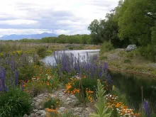 User submitted picture: The very picturesque Gray...