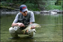 User submitted picture: golden barb