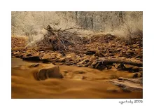 User submitted picture: a river is running...the ...