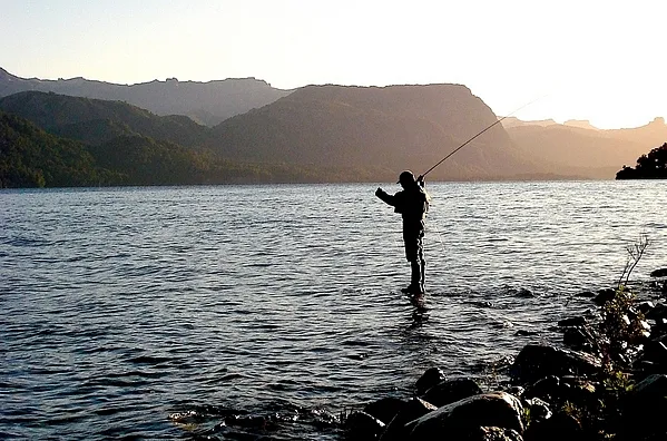 User submitted picture: Early morning in the lake