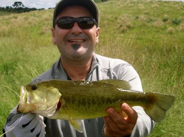 User submitted picture: Nice brazilian largemouth...