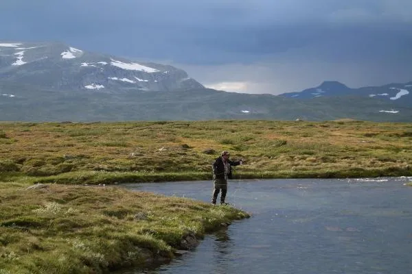 User submitted picture: On the Kalfjäll 1