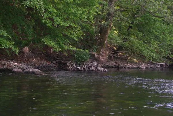 User submitted picture: Small stream from the sou...