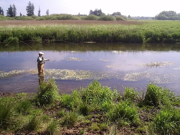 User submitted picture: Ready...Present...Loose.....