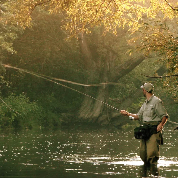 User submitted picture: Watching the Cast