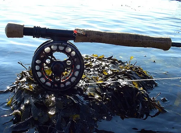 User submitted picture: ...were are the Seatrouts...