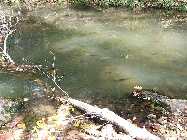 User submitted picture: Once upon a time it may h...