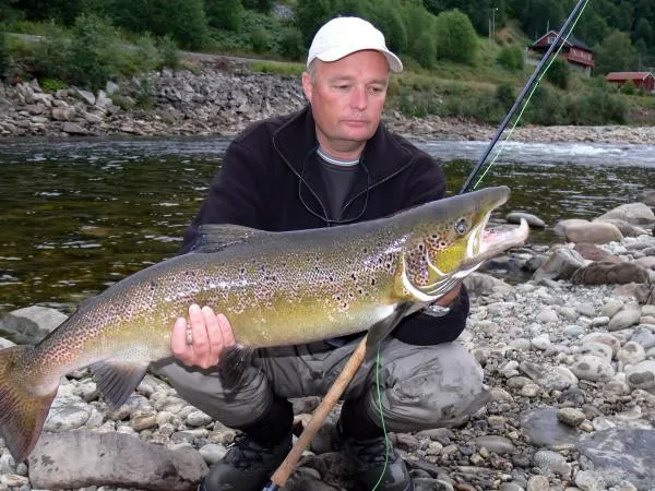 User submitted picture: Gaula late august