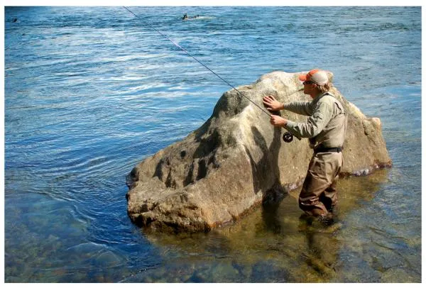 User submitted picture: ...hiding behind big rock